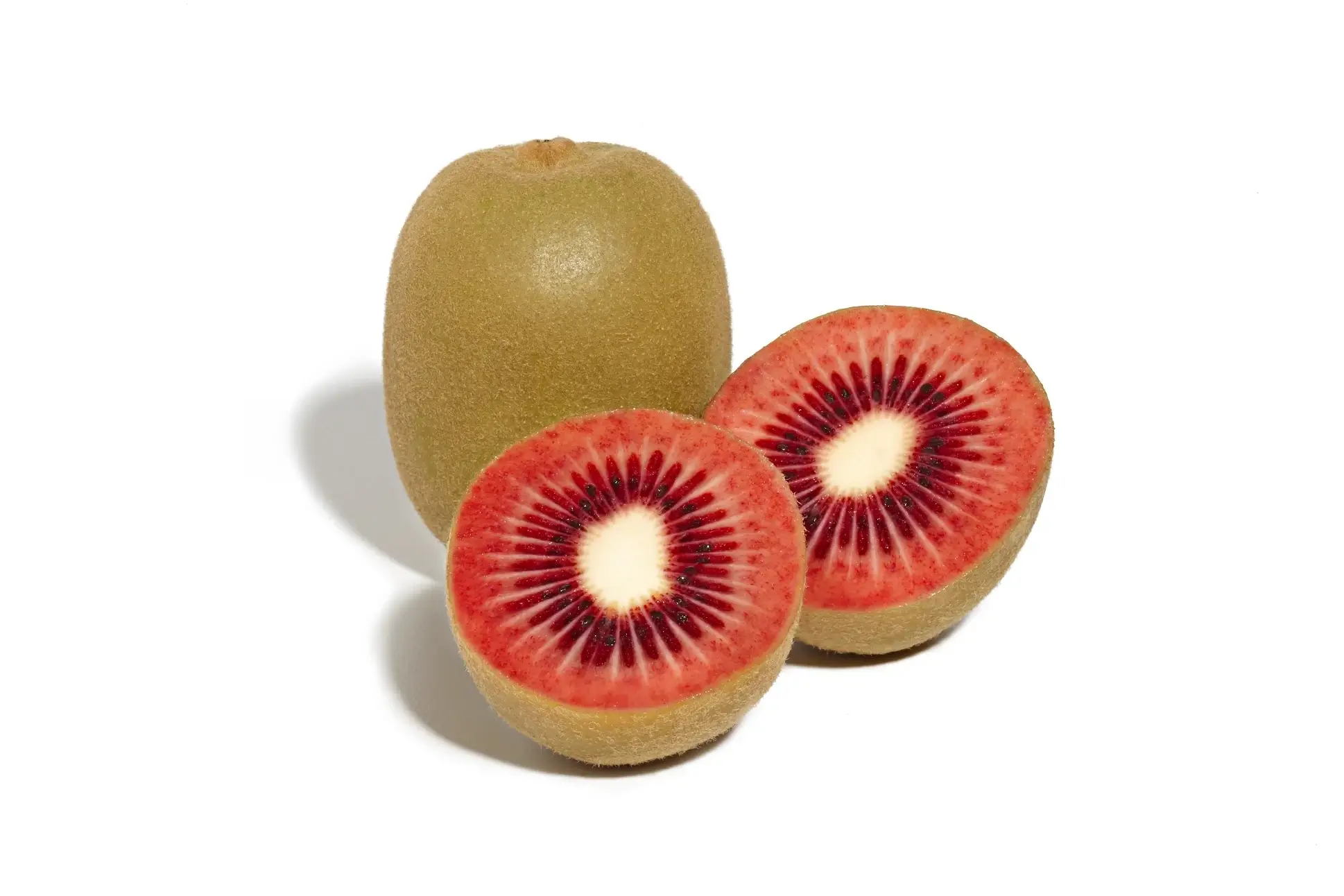 Kiwi Merah, Actinidia Melanandra