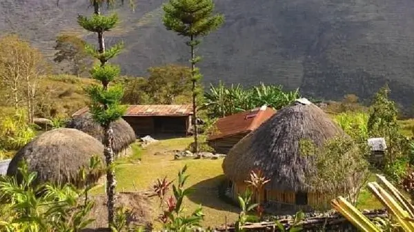 Rumah Honai, Papua dan Papua Barat