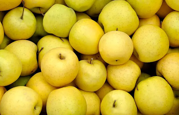 Apel Golden Delicious